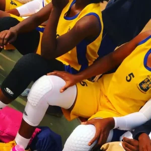 KNEE SLEEVES - PADDED